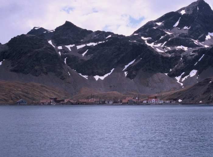 Grytviken, an abandoned whaling station on South Georgia. It is in the same bay as the modern BAS King Edward Point base and Ernest Shackleton's grave.