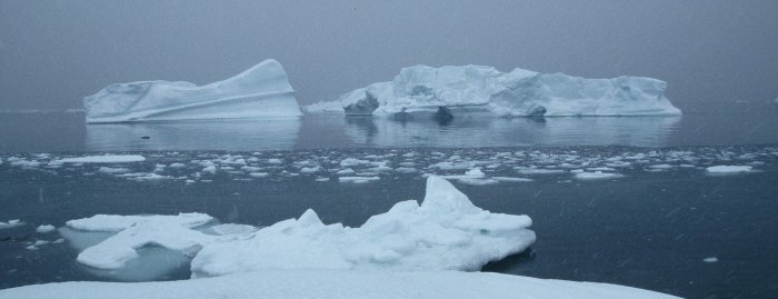 Ice bergs off Rothera Point on a snowy day in September.