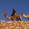 Nuns on camels!