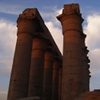 Pretty colours on columns at Luxor Temple at sunset.