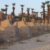 The Avenue of the Sphinxes at Luxor Temple. Originally there were Sphinxes all the way to Karnak Temple, 3 km away.