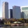 Hamarikyu-teien, or the Detached Palace Garden, and some newer Tokyo buildings. Apparently duck catching was a popular sport several centuries ago and so there are a series of walls and ponds in the garden to allow people to sneak up on unsuspecting ducks - a unusual hobby that I've not heard of before.