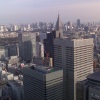 The view from the top of the Tokyo Metropolitan Government Office.