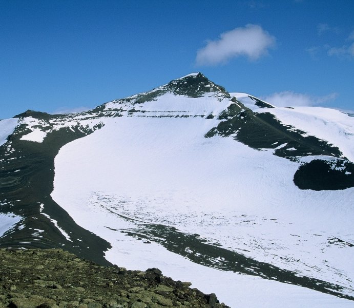 Pyramid seen from the top of Sphinx.